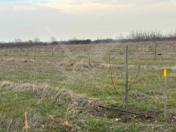 Продава се Парцел в Карлово - 21000 кв.м за 5 €/кв.м - Снимка #1