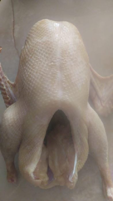 Продам гусей, 2500 ТГ за кг