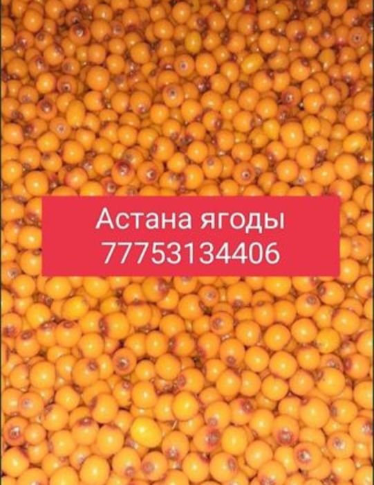 Облепиха свежие ягоды