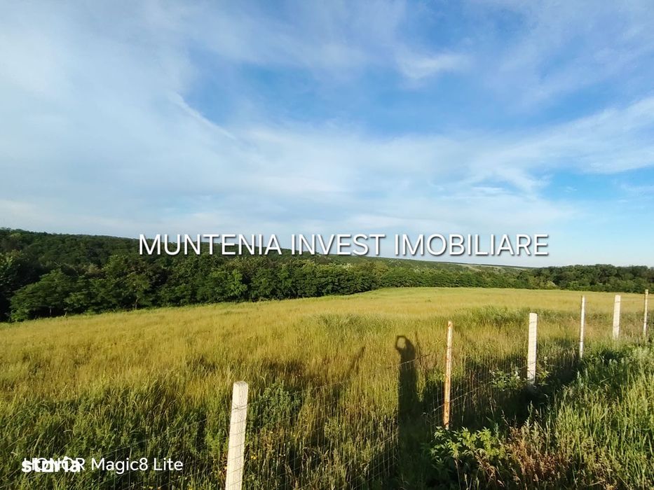 De vanzare 40.800 mp. teren, Calinesti