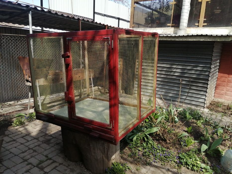 продам клетку в хорошем состоянии.