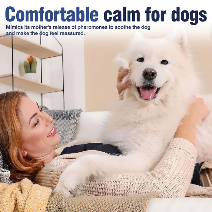 Успокояващ нашийник за кучета – Calming Collar