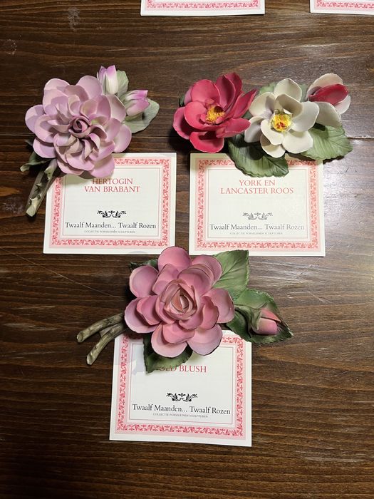 Колекция от 12 порцеланови рози,Capodimonte,Italy