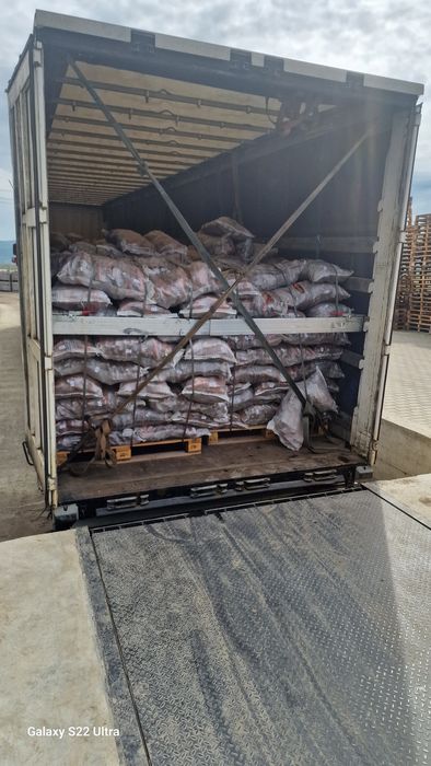 Morcov lux 2lei morcovi