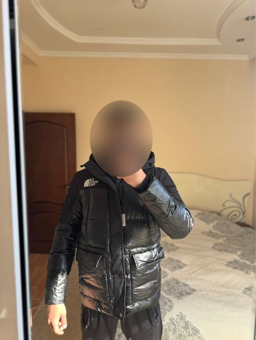 Зимняя куртка, The North Face