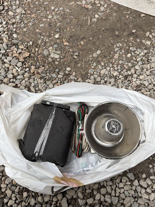 serena amerikanka 1ta karney