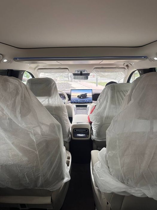 Denza N9 restailing! Srochna