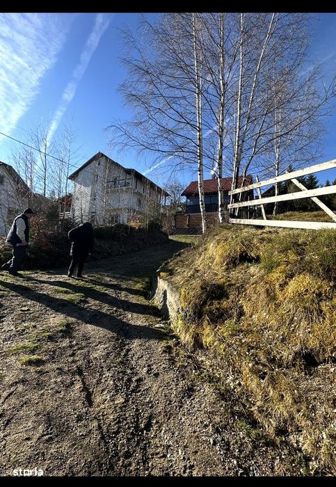 Vand cabana,Zona Turistica Rusu,Muntii Paring