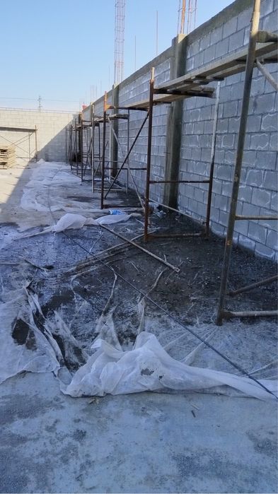 Аренда леса Алматы