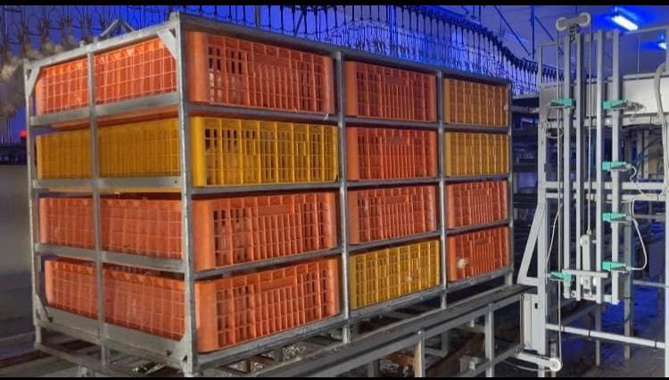 Container metalic transport pasări EGEA.