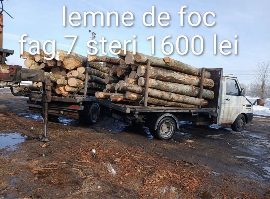 Vand lemn de foc fag