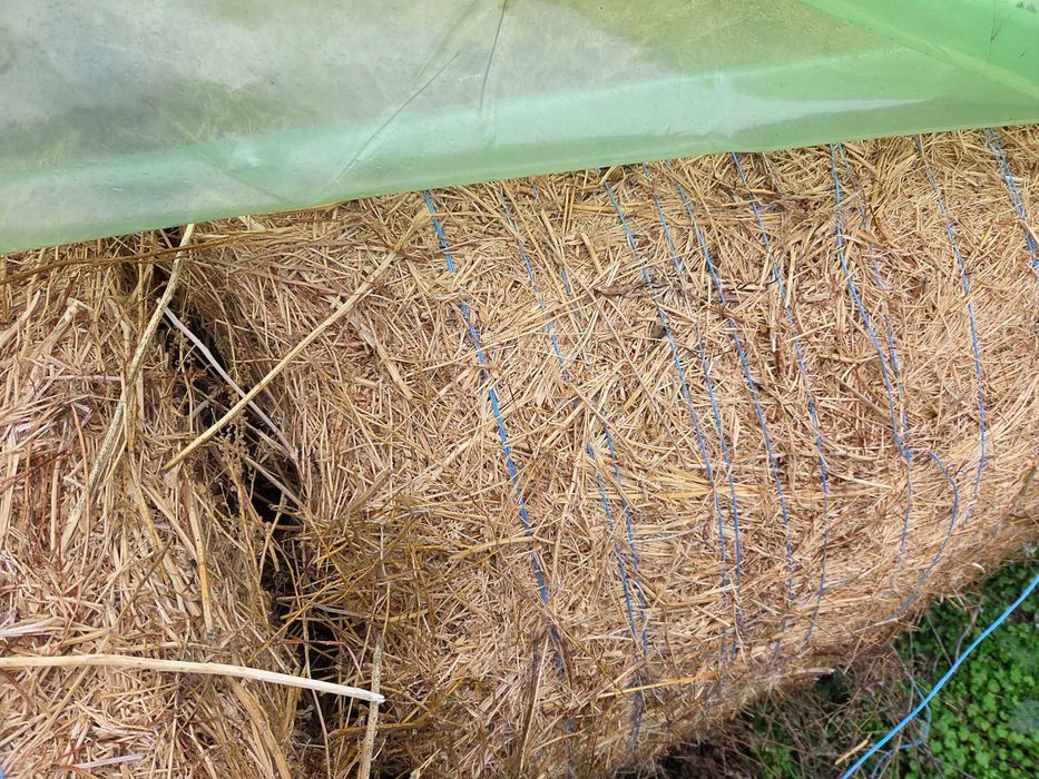 Baloti Lucerna 160×120