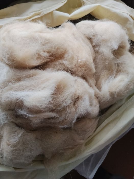 Собачья шерсть ( подшерстнник)