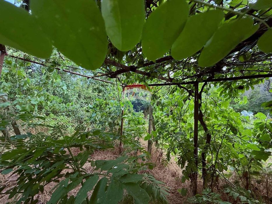 Парцел с къща,ток и вода за продажба, общ.Балчик, Я.И.