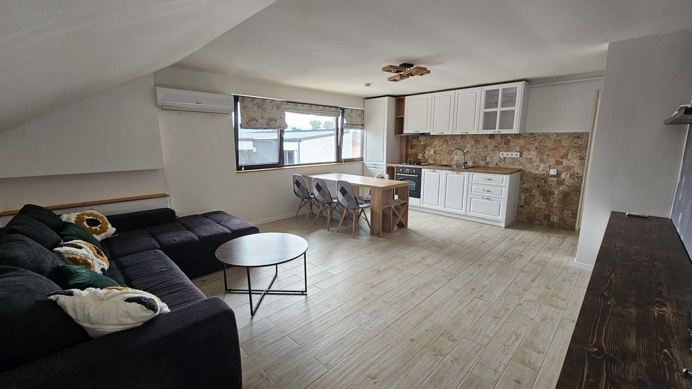 Apartament de inchiriat, Andrei Muresianu