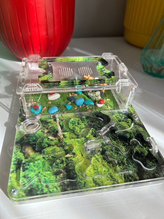 Муравьиная ферма