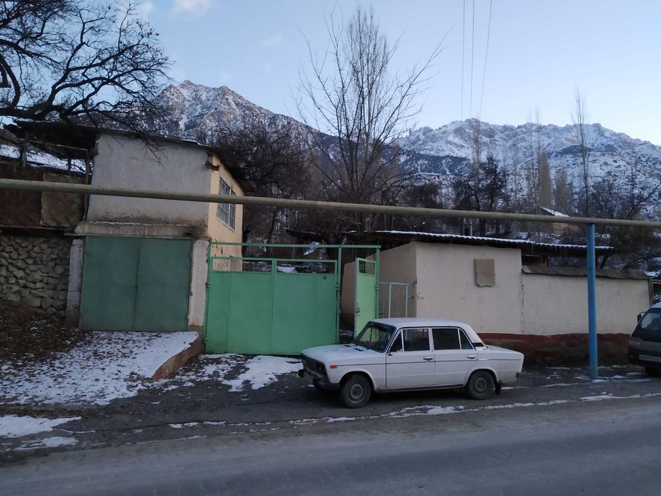 Дом и чистый воздух