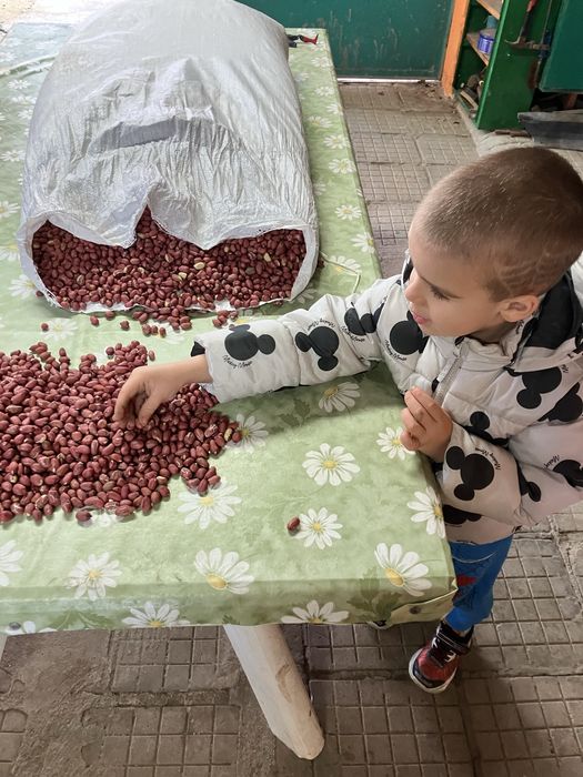 Български ФЪСТЪК