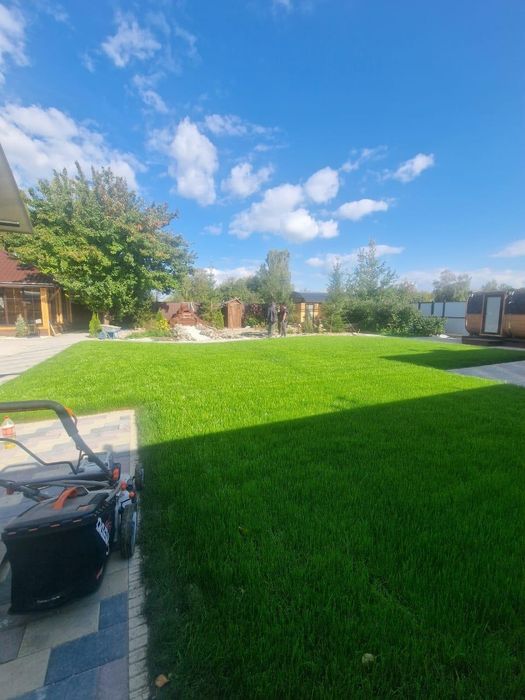 Газон рулонный посевной