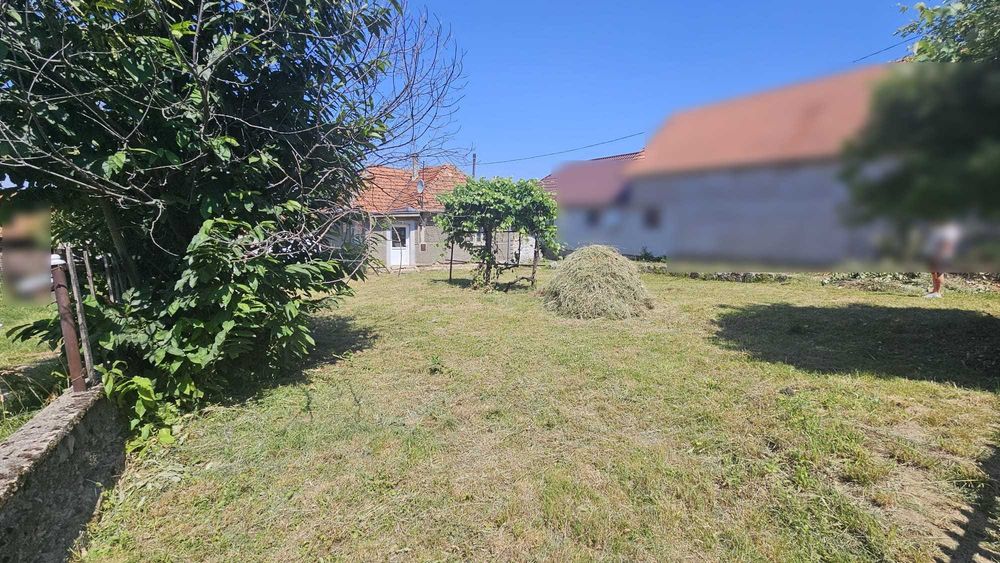 Casă cu teren 8.000 mp și livadă