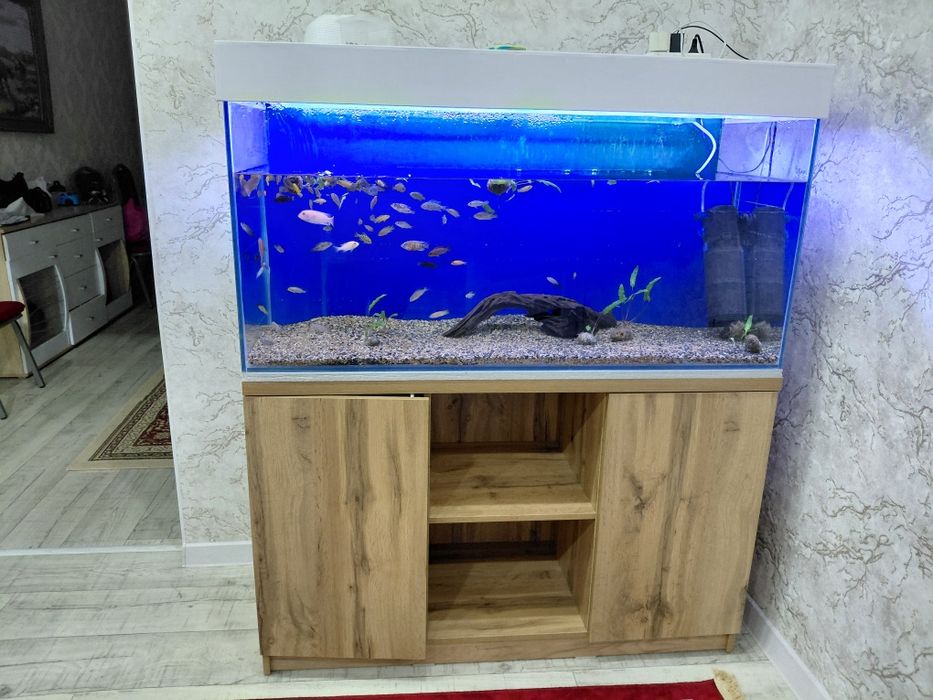 Продам аквариум,