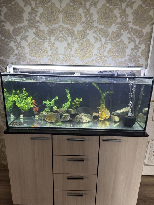 Аквариум 260 литров
