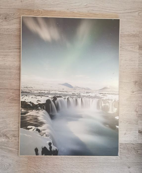 Антикварна фотография благороден елен рамкирана за закачане на стена