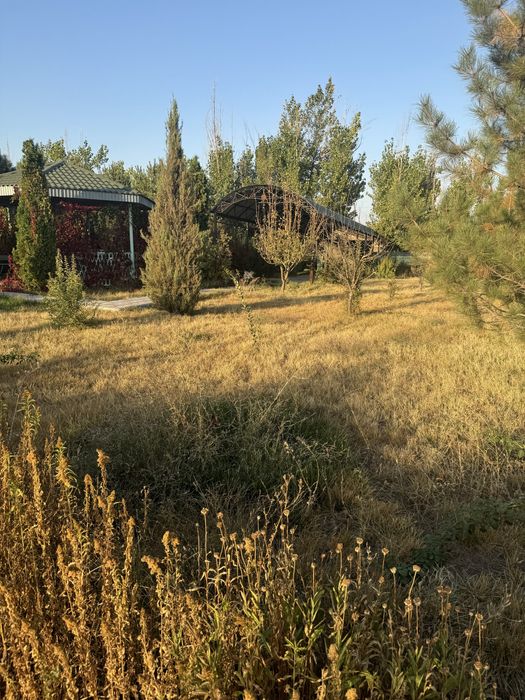 Продается фазенда