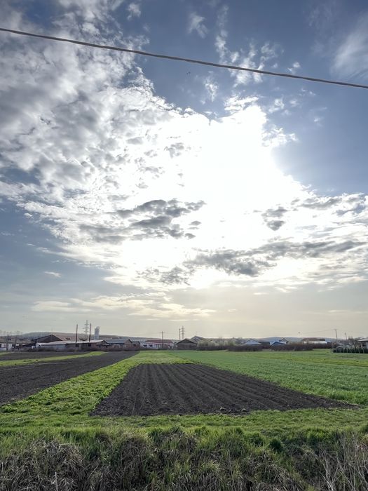 Vand teren intravilan in Criseni