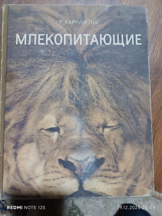 Книга. Млекопитающие.