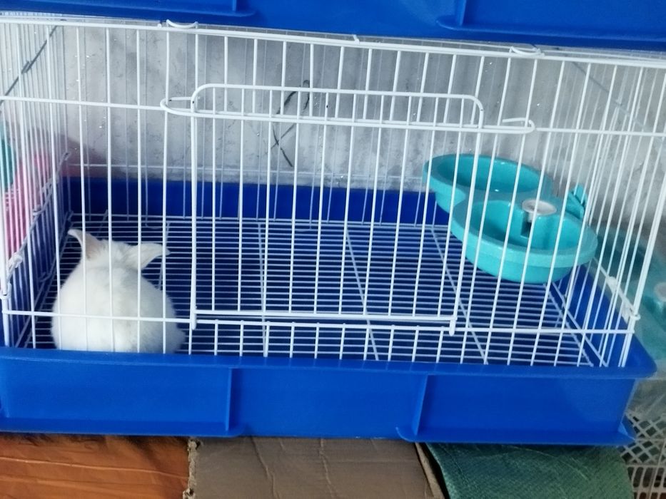 Клетки для кроликов итд
