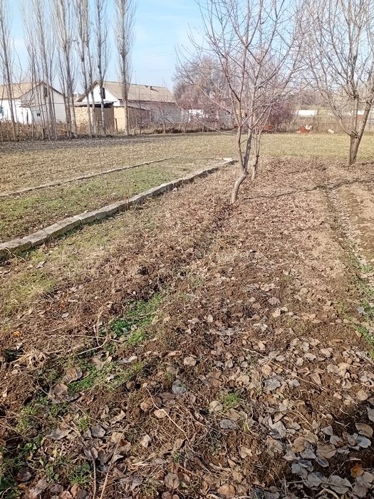 Яхши жойда текст жойда