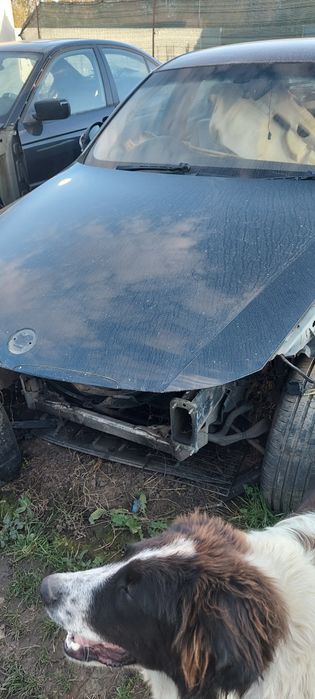 Vând discur+Plăcute fata și spate bmw e46 320d