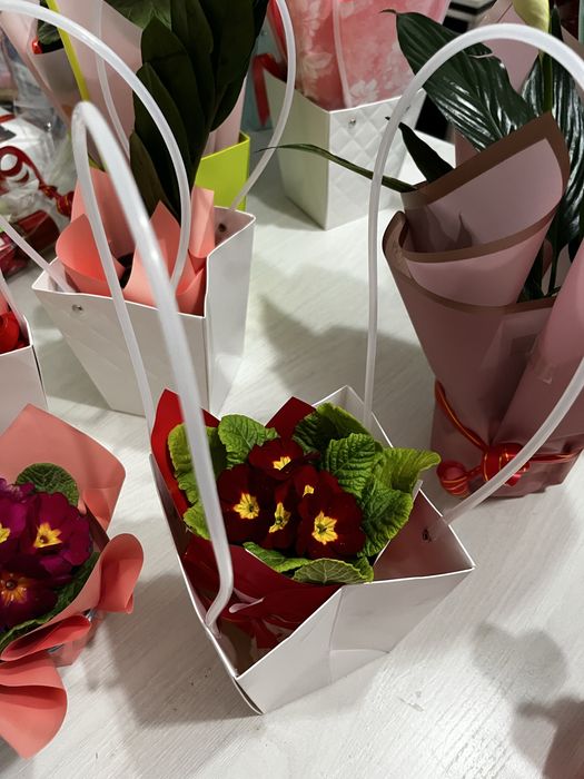 Гүлдер сатылады табиғи