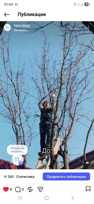 Жер аудару. Газон ору. Шөп ору. Шымкент