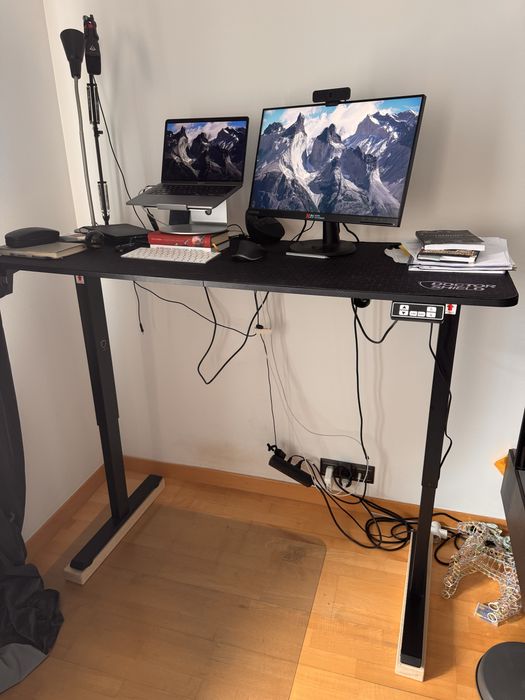 Stend up desk electric