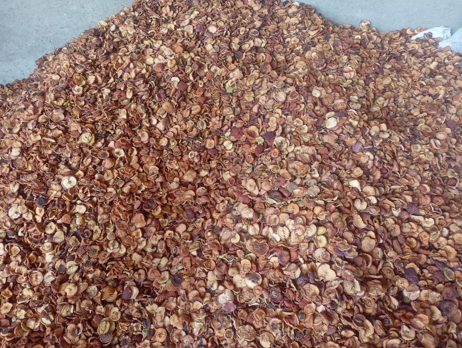 Алма қақ және аралас қақ