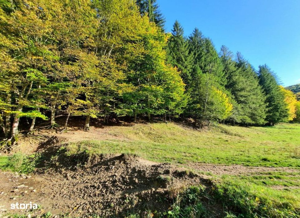 Teren extravilan , 7160 metri Cod:160785