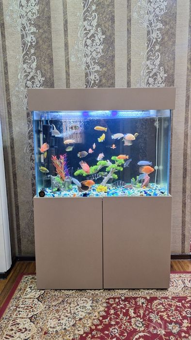 Akvarium sotiladi 280/300 L