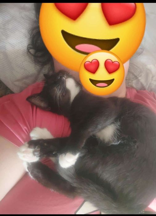 Отдам в добрые руки