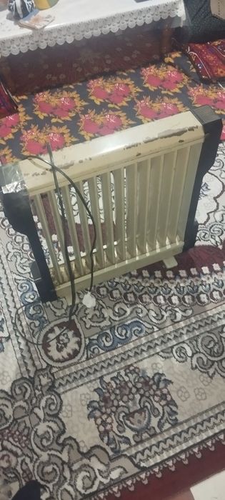 Elektr pechka maslini