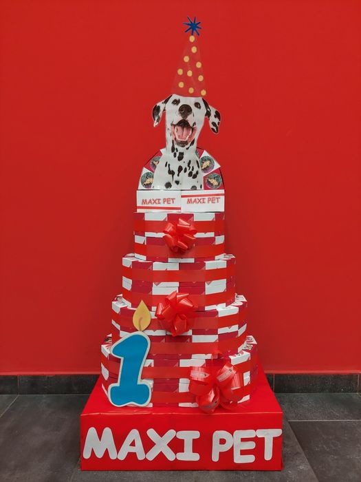 Изработвам Хартиени торти