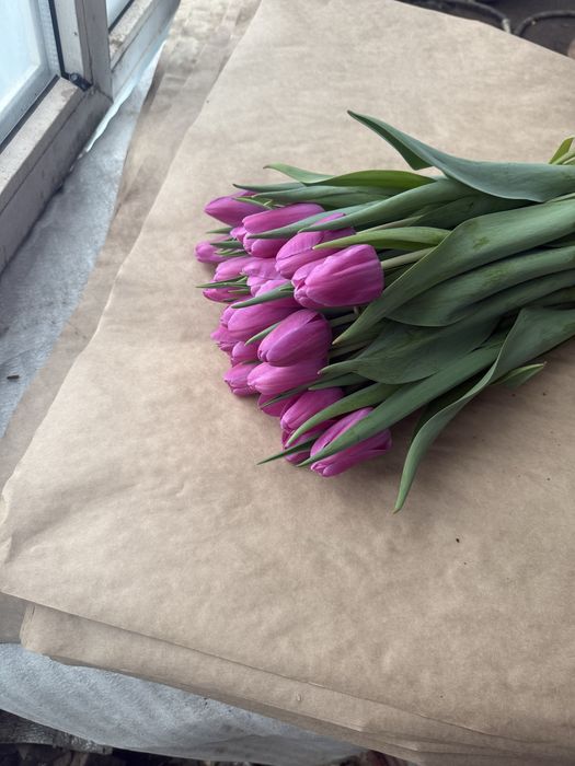 Тюльпаны оптом и в розницу