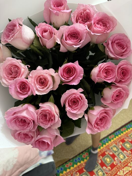 Роза галантски 21 шт свежая