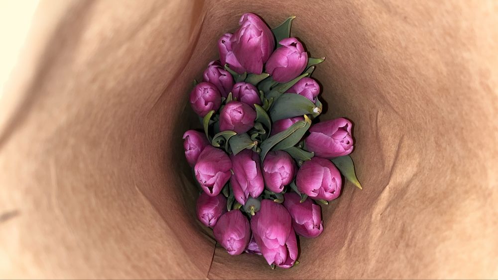 Тюльпаны оптом и в розницу