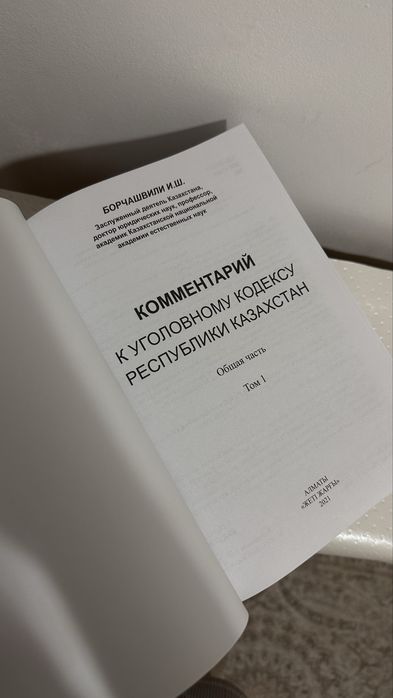 Комментарий к УК кодексу РК Борчашвили