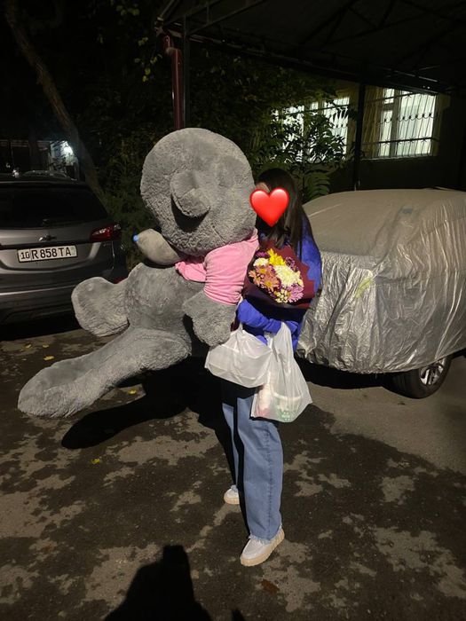 Teddy сотилади срочно