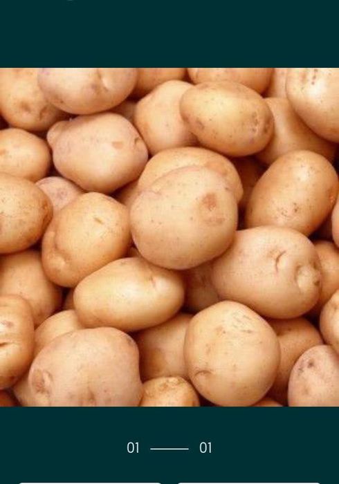 Продам домашнюю картошку
