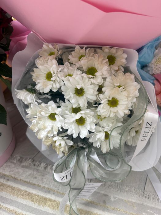 Разные виды цветов