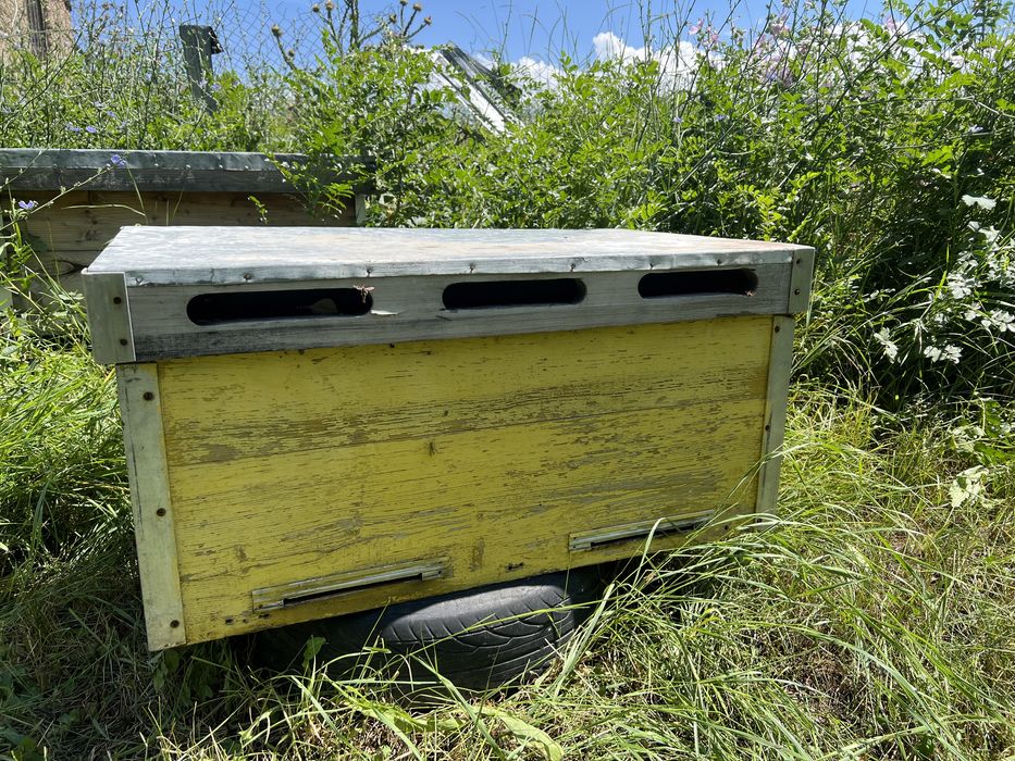 Продам ульи разные